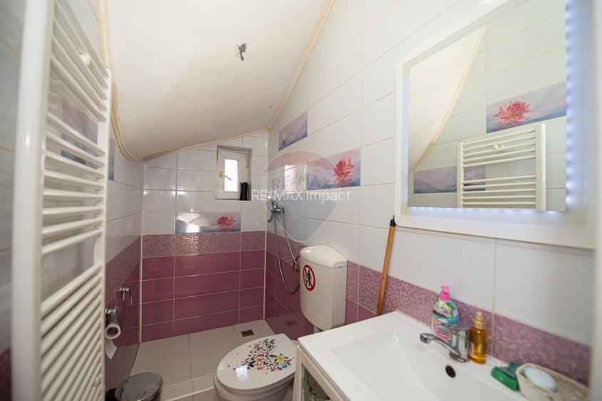 Casa individuala S+P+1+M curte de 460mp Ghencea sector 6 - 14