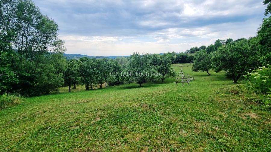 Vanzare Teren  construibil 5700mp Campul Lung Muscel - 13