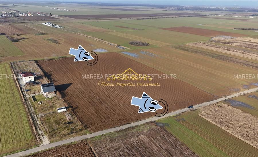 Teren intravilan case 10.000 mp, Str Sportului, Ulmi - 2