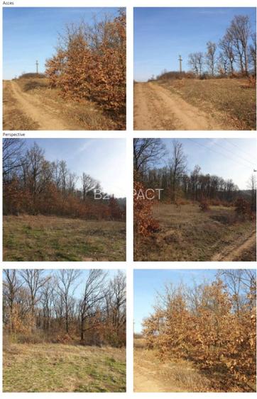 teren in suprafata de 2.410 mp mp Paleu, jud. Bihor (licitatie) - 3