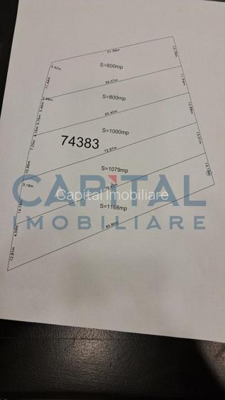 Teren plan 4800 mp cu casa demolabila, centru Corpadea, Apahida - 2