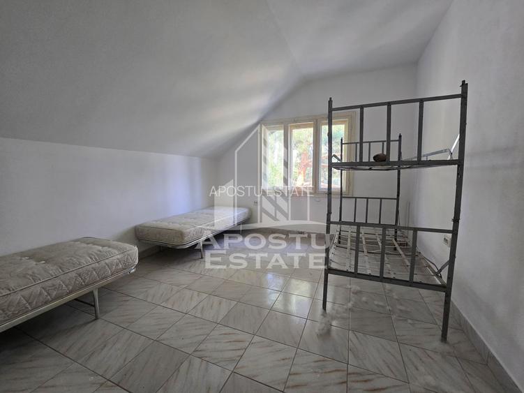 Casa de vanzare, potential pensiune, pe malul Timisului,Sag,comision 0 - 23