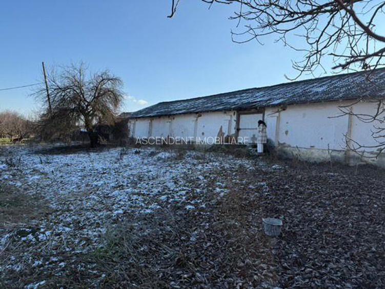 Spatiu Industrial multifunctional: productie, depozitare,logistica, Raciu, Mures - 2