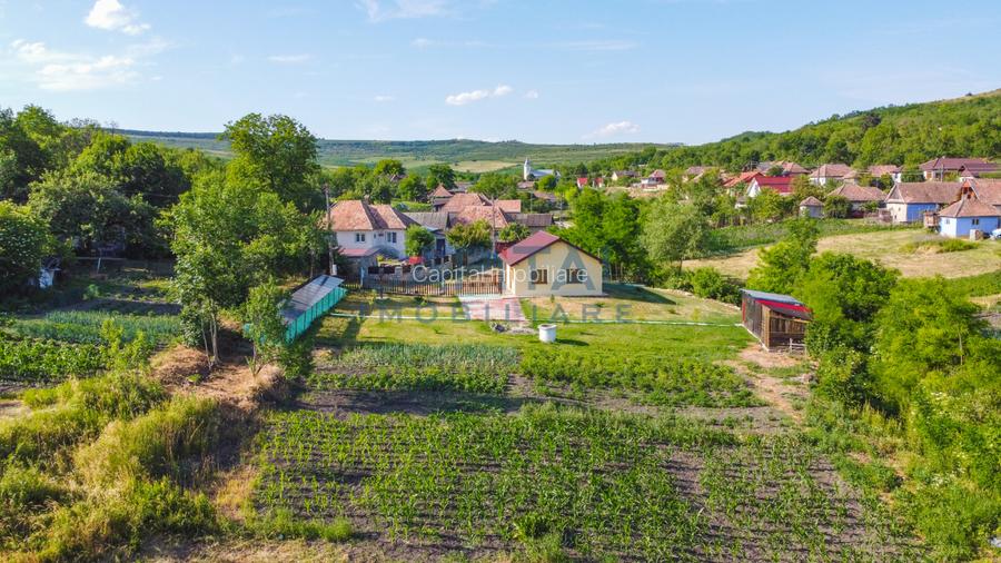 Casa cu teren de 3100 mp de vanzare in comuna Cornesti - 2