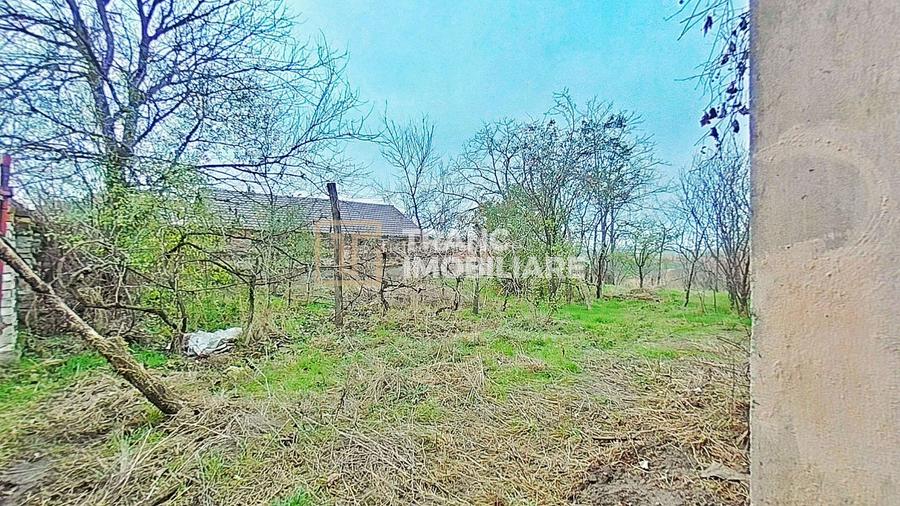 Casă cu potențial, teren generos de 1.440 mp – Secusigiu, Arad - 5