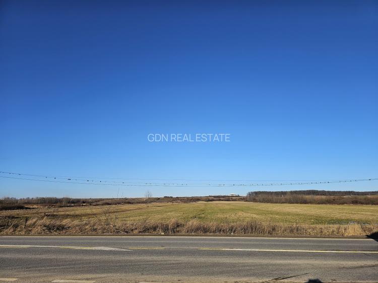 Teren extravilan - constructii, suprafata 49.933 mp, drumul E79, Beius - 4