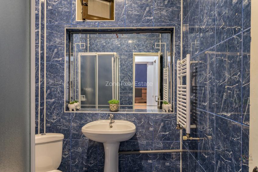 Business cu identitate: Apartament Unirii , demisol, parter si curte accesibila - 30