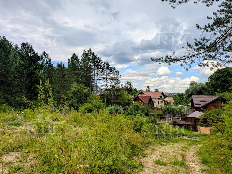 Teren intravilan pentru constructie casa in Cheile Baciului - 2