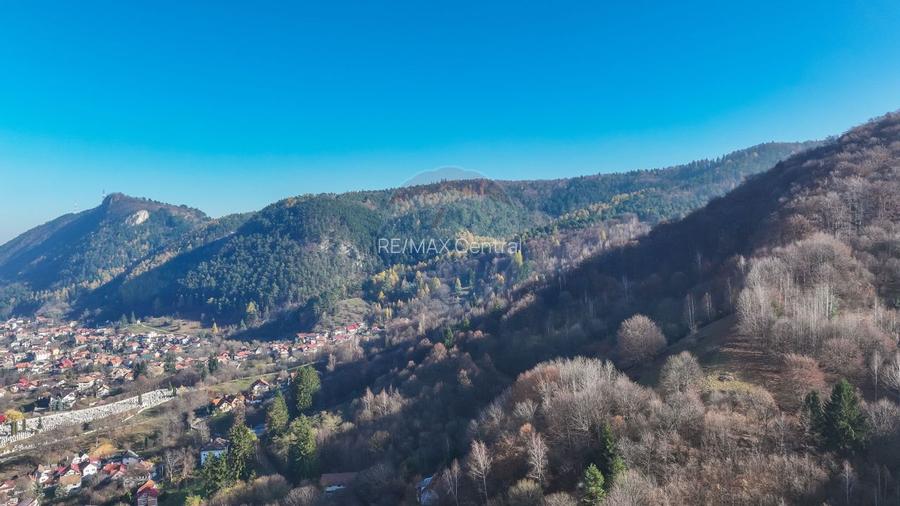 Teren Colinar Panoramic – 17.684 mp în Scheii Brașovului - 5