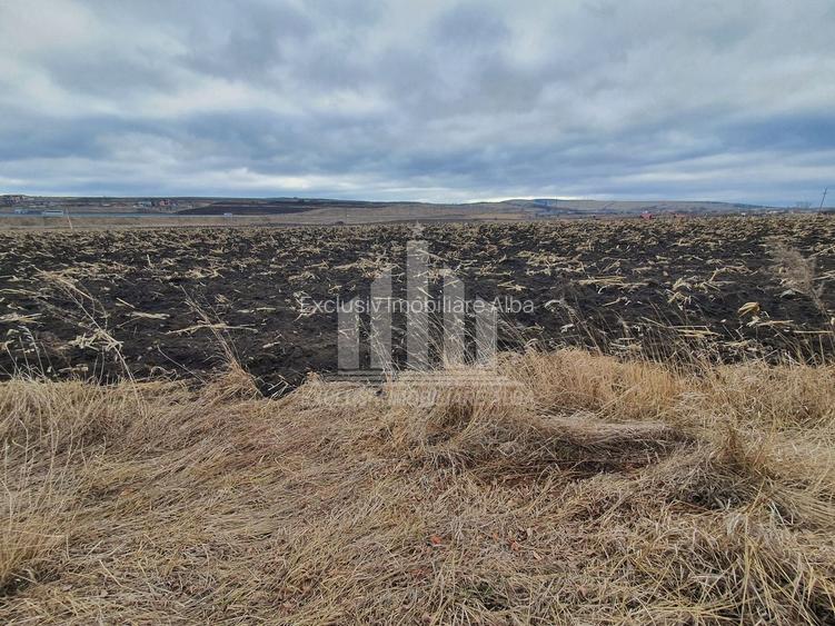 Teren extravilan | De vanzare | 1300 mp | 25 ml deschidere | Ciugud - 4