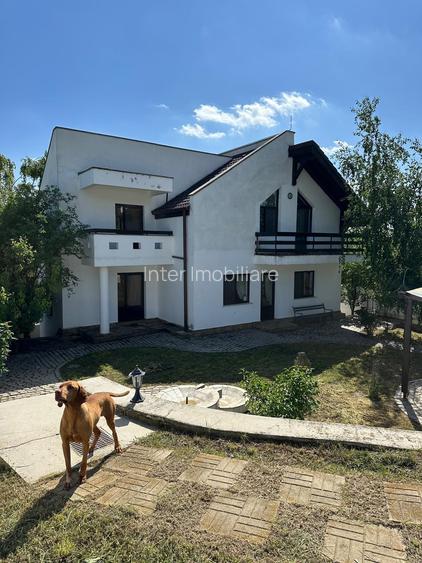 Vila Bucium cod 158289 - 29