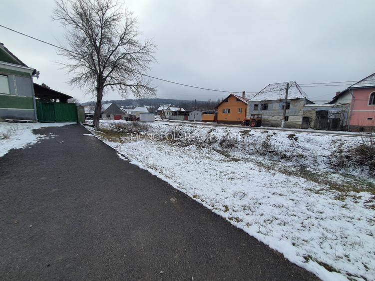 Casa singur în curte - 12