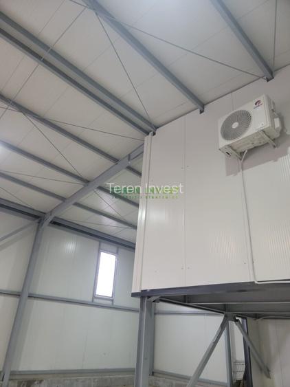 Hala depozitare -  Cernica – Theodor Pallady - 11