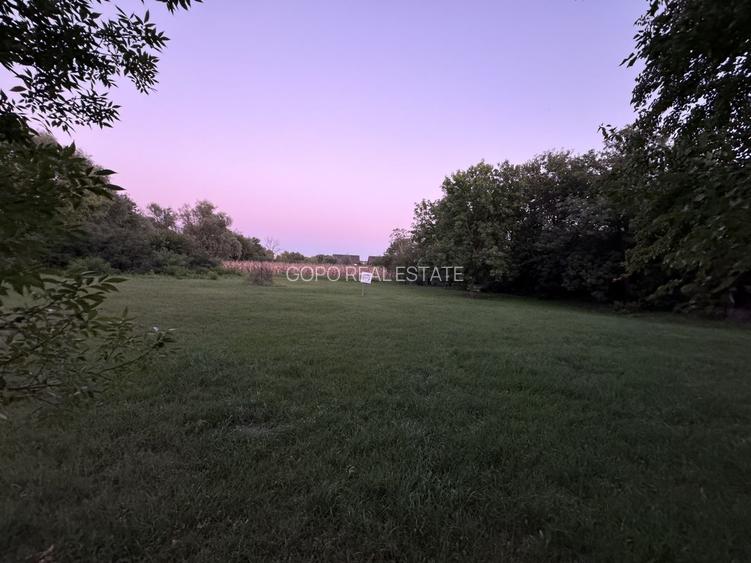 Hotel 20 camere Delta Dunarii 50 m deschidere teren 6000 mp acces auto - 31