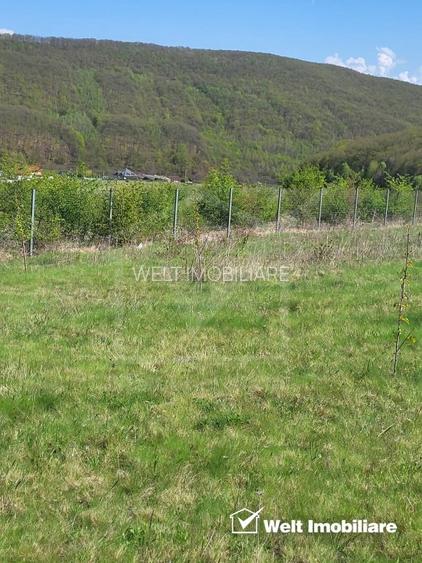 Teren extravilan 2000 mp, împrejmuit, panoramă superbă – Sălicea (Cluj) - 7