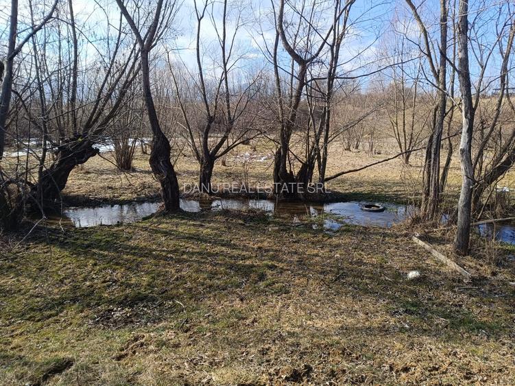 Comision0%Teren intravilan 5783mp Bran Sohodol, vedere Piatra Craiului - 13