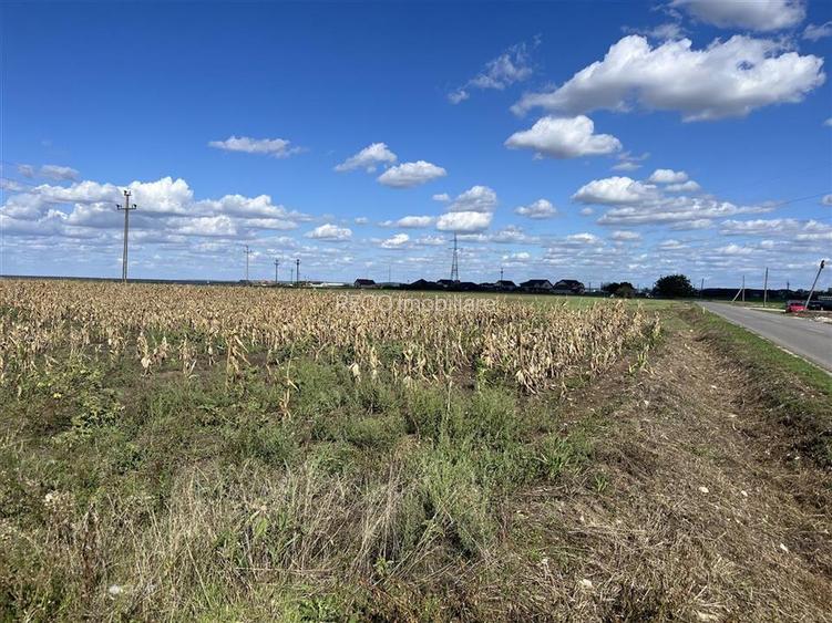 RECO Teren intravilan 1200mp -Livada de Bihor - 2