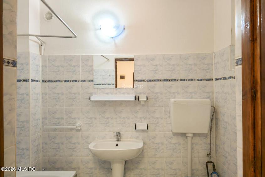 Lunei - Ion Neculce, 2 Apartamente. Mansarda 157 mp. Anexe, Lot 475 mp - 7