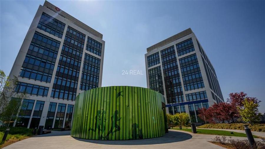 Spatii birouri de clasa A de la 254 mp - 12