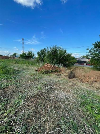 Vanzare Teren Central, Moara Vlasiei - 5