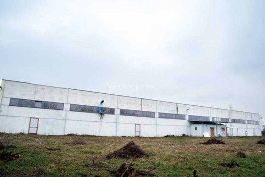 HALA ALBASTELELOR DE VANZARE/INCHIRIAT - 8