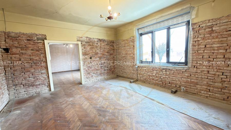 Proprietate cu 2 case | Teren 546 mp | Str. Albinelor Nr.18 - Carei - 6