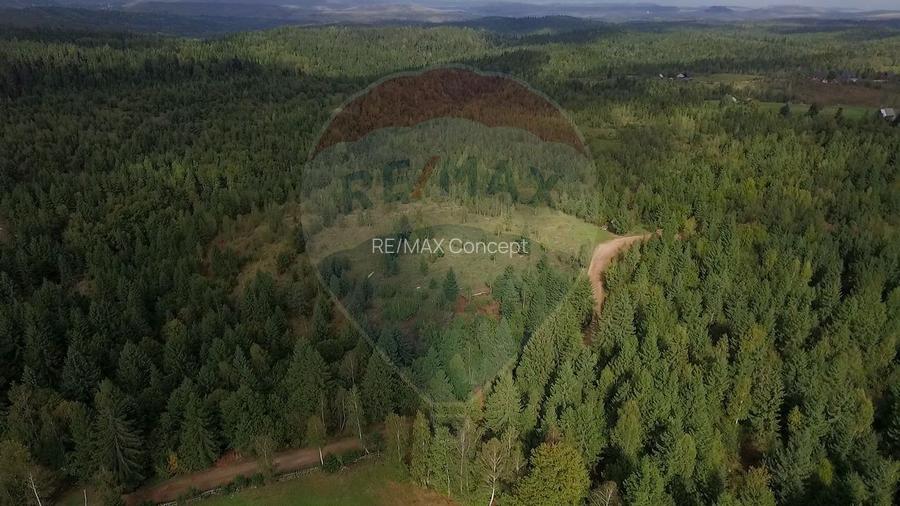 Teren extravilan parcelabil Călățele Pădure, zona Dealu Negru - 2