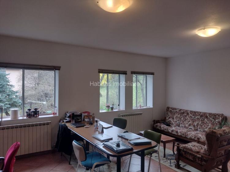 Casa de inchiriat, activitati diverse, zona Grigorescu - 24