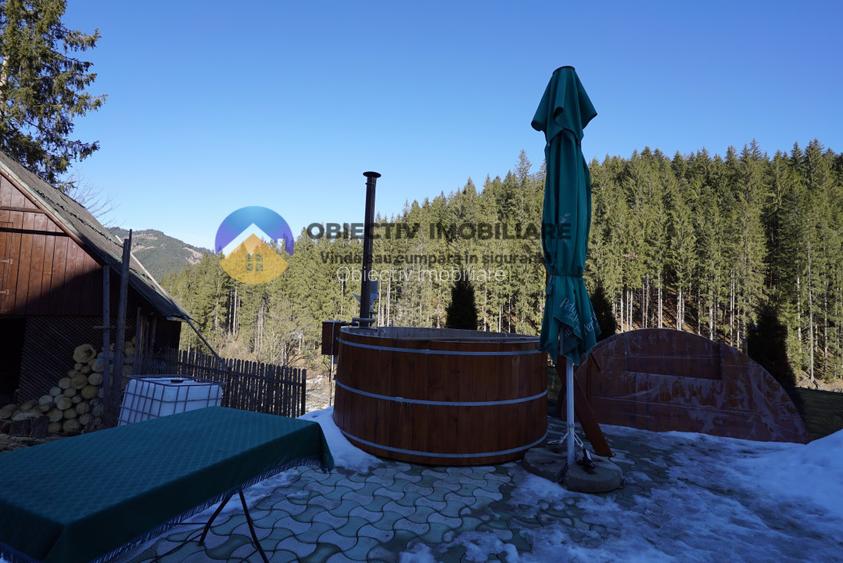 Refugiu Natural: Casă și Teren Înconjurat de Pădure ! - 6