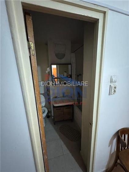 APARTAMENT 2 CAM, DRISTOR BABA NOVAC - 18