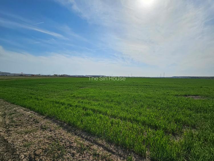 Teren A0 Afumați: 3303-7.569mp Front Generos 78m Ideal Logistic/Hale - 3