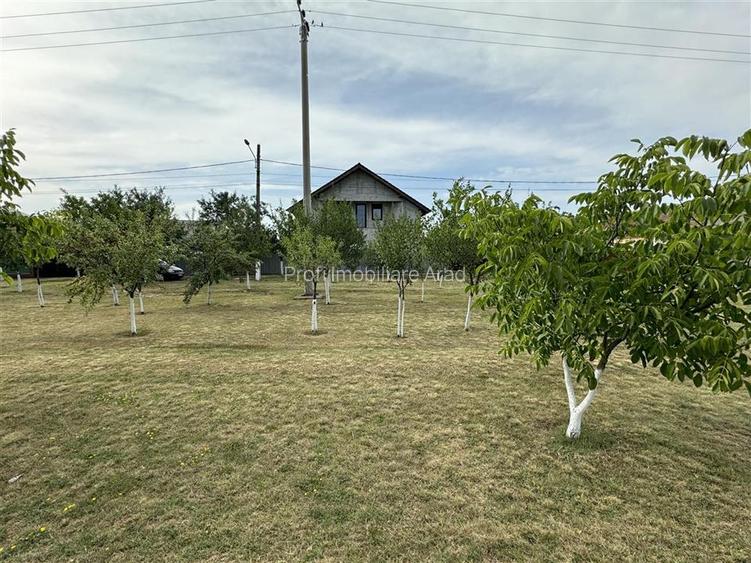 Casa noua cu 6 camere in SAGU la principala - 3