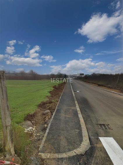 Mogosoaia | Teren intravilan | Suprafata: 932.64 mp cu deschidere de 20.17m - 4