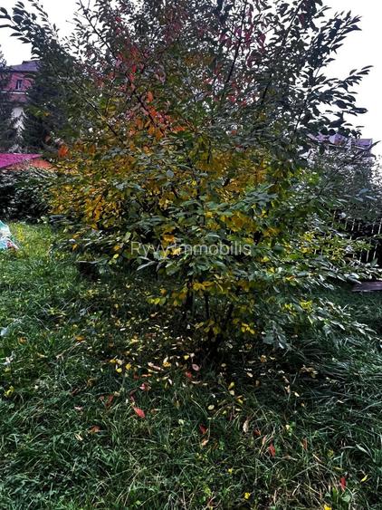 Casă complet renovată, pentru locuință sau pensiune turistică! - 23