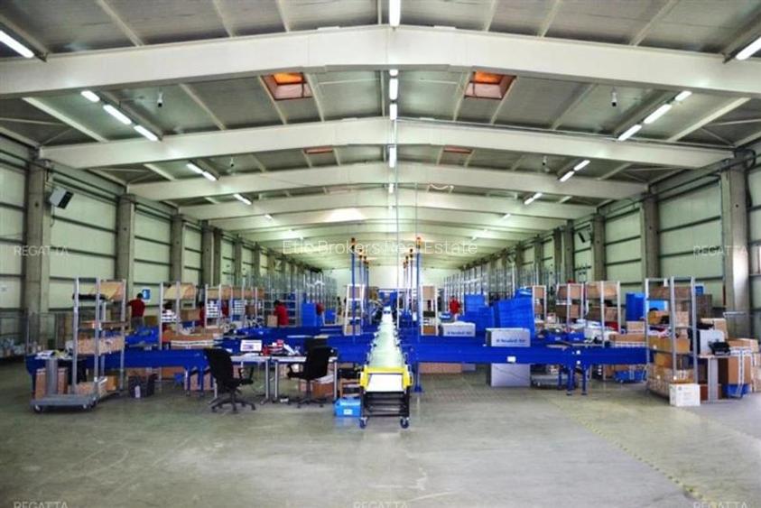 Vanzare hala 2750 mp si Cladire de birouri, Industriilor, Chiajna, acces usor A0 - 7