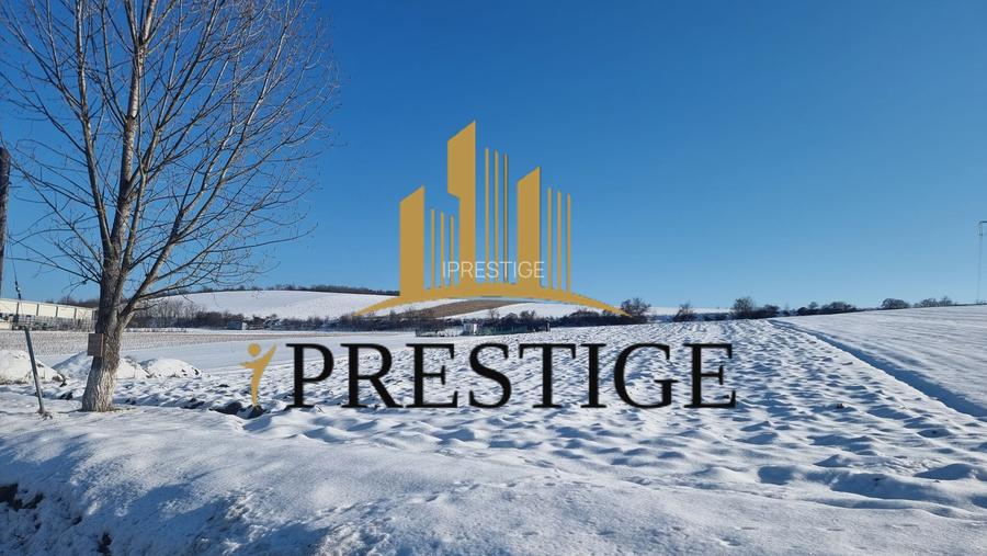 TEREN  DE VÂNZARE 6695 MP ÎN SIBIU ȘURA MARE - 2