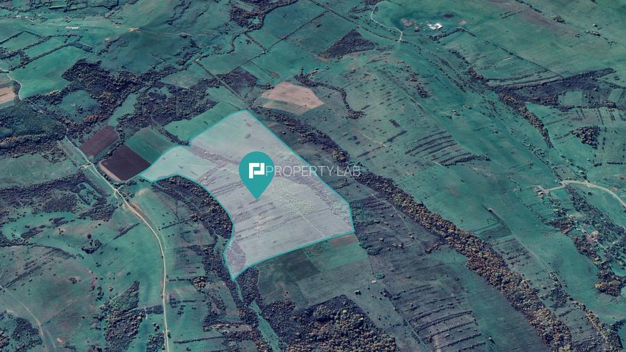 Teren arabil de 87 hectare în Bara, Timiș - 5