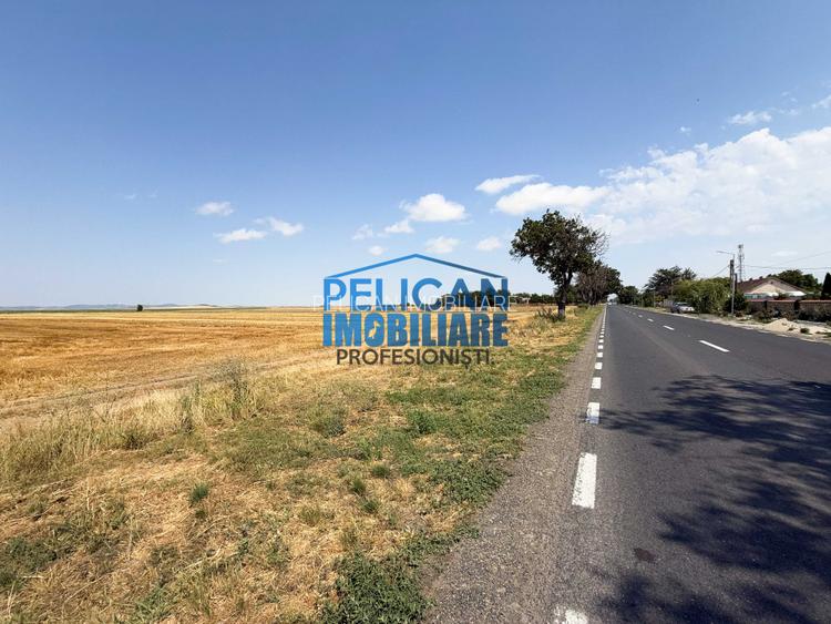 Teren intravilan M. Kogalniceanu, 4000MP, la drumul national - 2