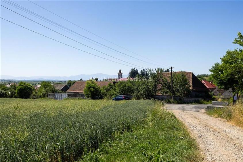 6 loturi casa Maierus,1.375mp,langa DN13, Doripesco,Brasov: 35min, zona verde:FI - 6