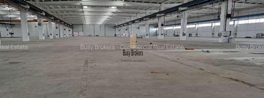 Spatiu Industrial - 9750 mp - Productie - Depozitare - Distributie - 3