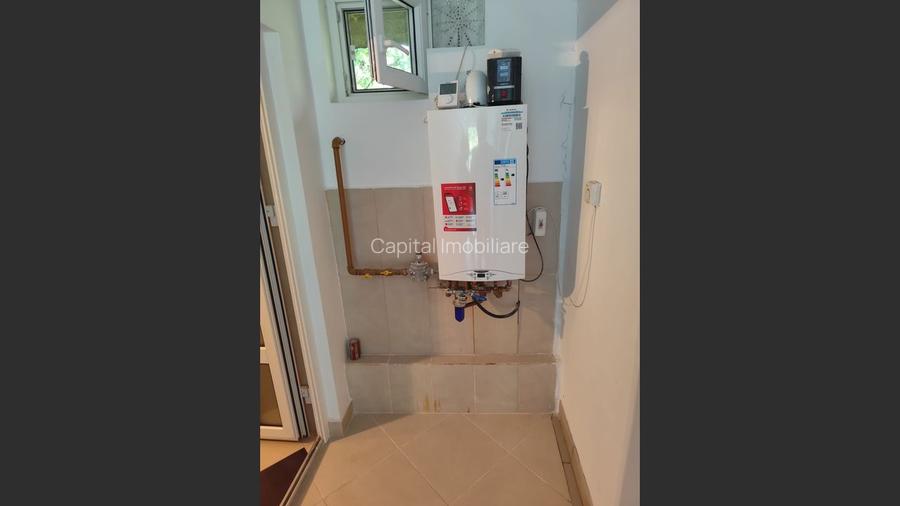 Vila superba 7 camere, Provita de Jos, 22.000 mp teren - 6