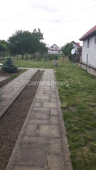 Vand teren cu casa in Utvin - 10