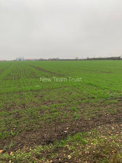 Stefanesti Teren Industrial -  Teren Mixt  Scompacta Dascalu - Gaesti - 7