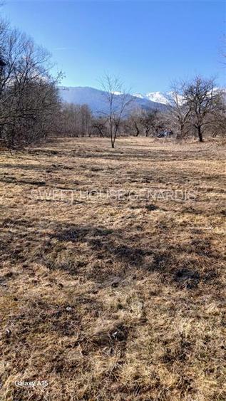 Teren de vanzare la satul de vacanta Dejani - 5