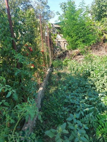 Casa de vanzare in Arad - 14