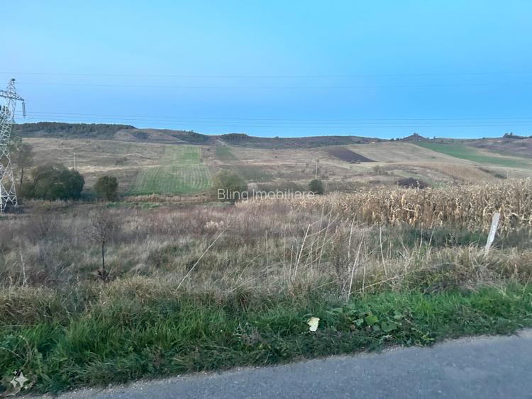 Teren de vanzare 2250mp front 22ml Baciu Salistea Veche  - 2