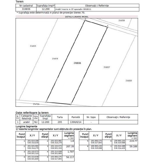 122 ari in Turnu, front 60 m la DN 7B, 15 km de Arad, 1 km de vama - 4