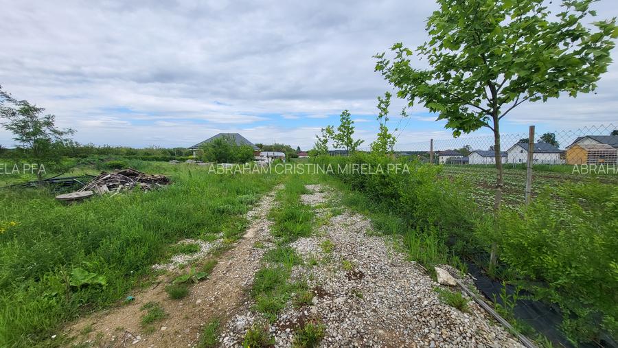 Vanzare Teren Intravilan, sat Balteni, 1000 mp - 3
