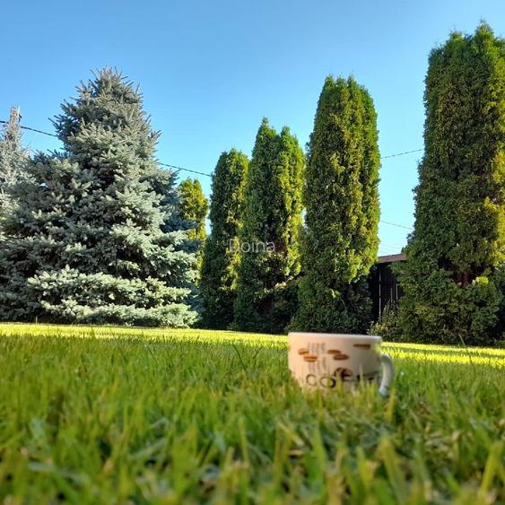 Vanzare vila Pacani [proprietar, 0 Comision] - 6