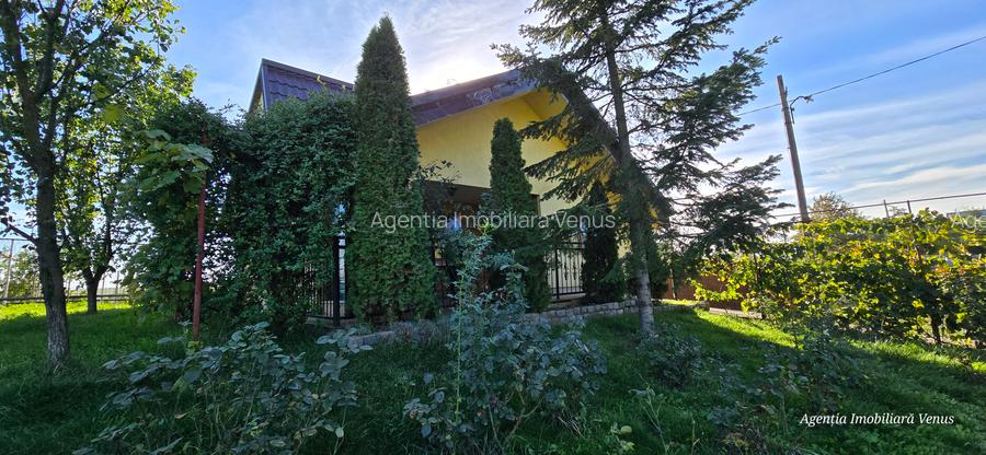 Casa caramida in Costesti - 16